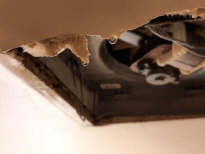 Professional commercial water damage restoration services in Chicopee - water damage restoration service