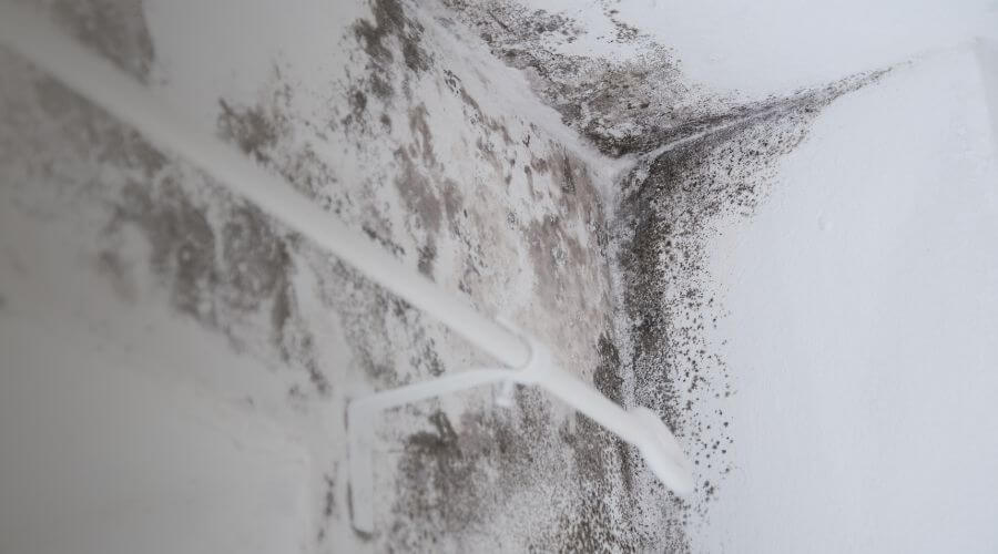 Why choose water damage restoration service for commercial water damage restoration in Chicopee